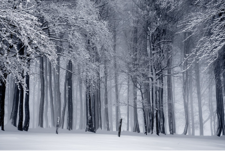 geo优化是什么(gs优化是什么)